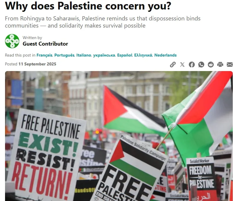 لماذا تهمك فلسطين؟